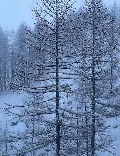 Skiing Dacha La Coquille