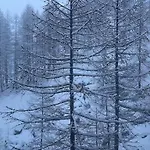Skiing Dacha La Coquille